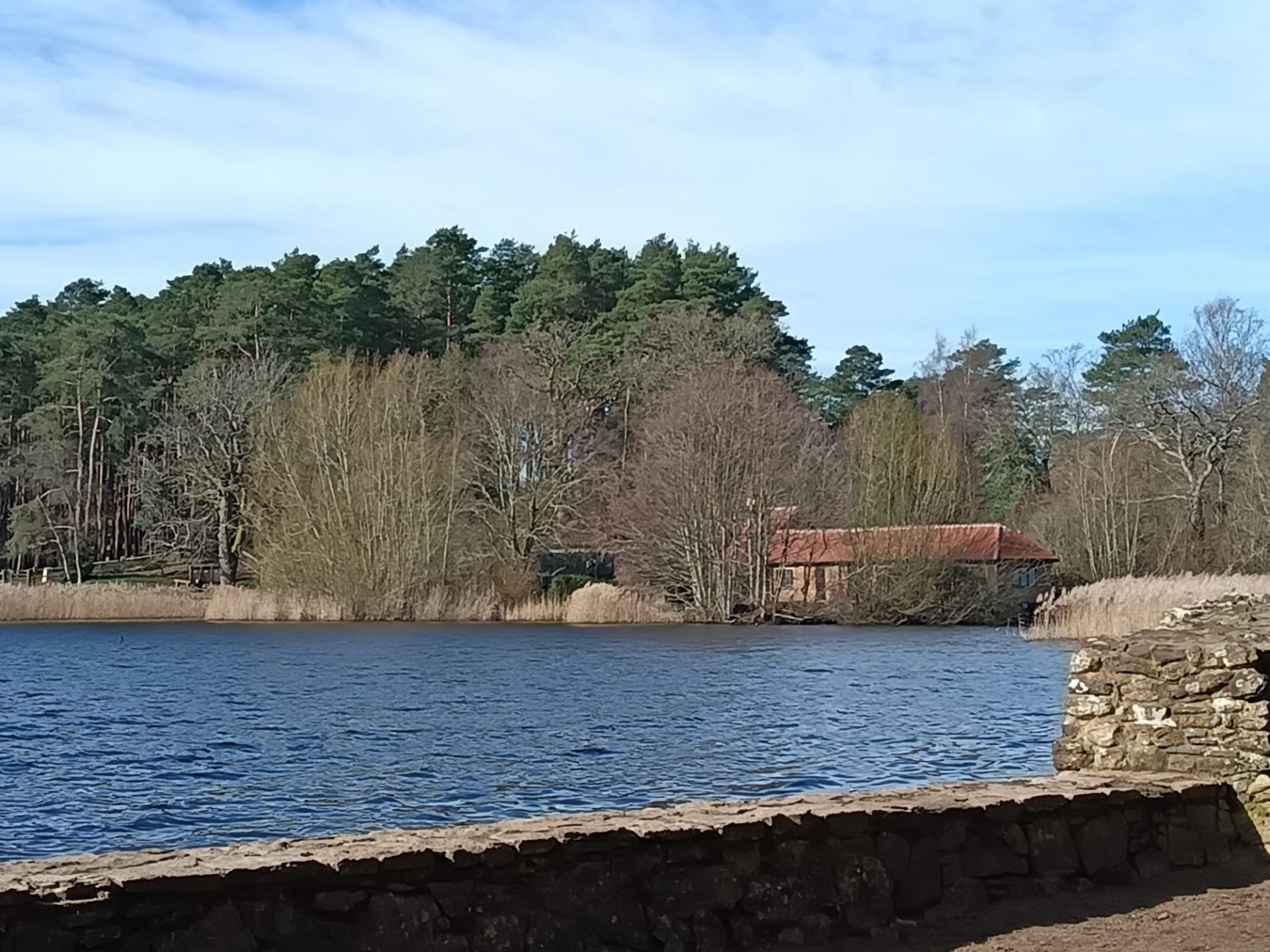Frensham Little Pond